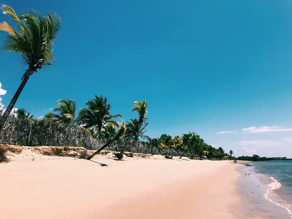 Faixa de areia clara e coqueiros na Praia de Santo André