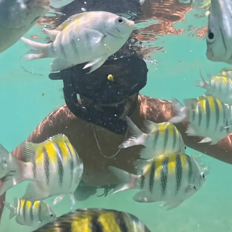 Mergulho nos recifes de Porto Seguro