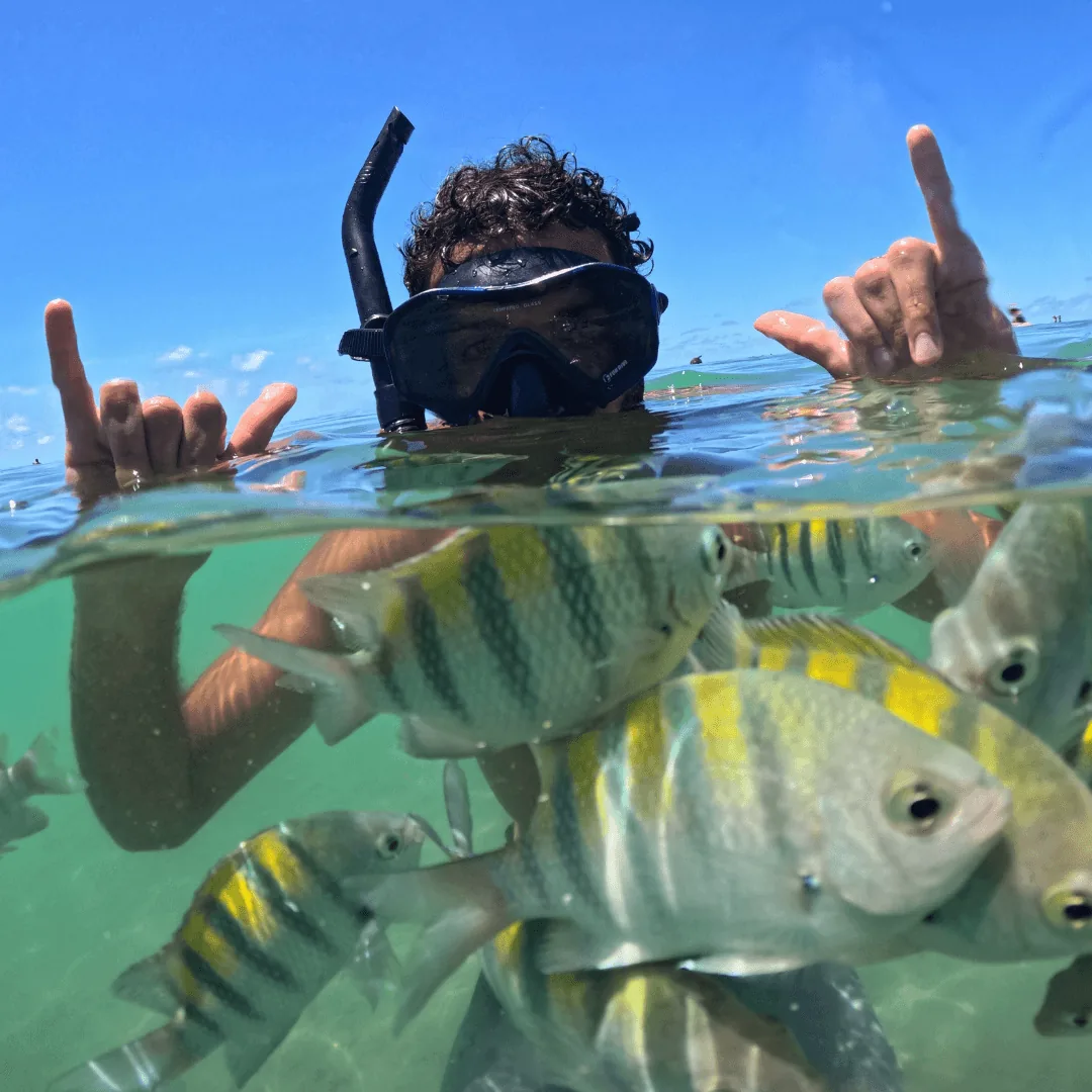 Pessoa fazendo snorkel no Recife de Fora
