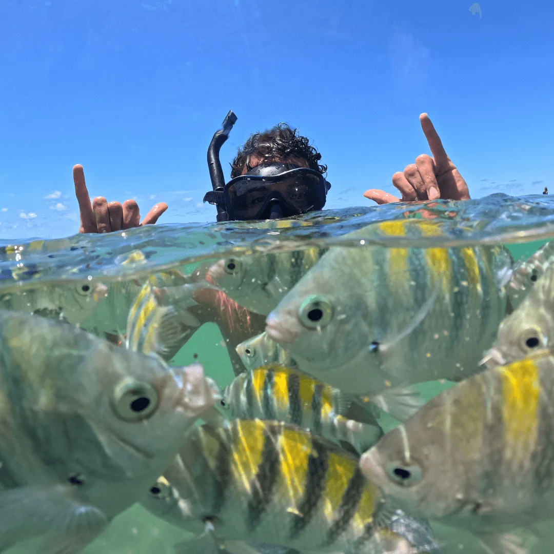 Peixes vistos durante snorkel em Porto Seguro