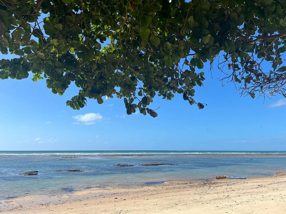 Faixa de areia sombreada e mar calmo na maré baixa em Mucugê