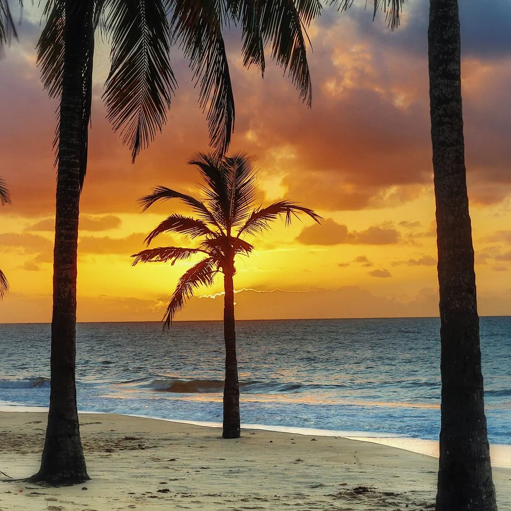 Fim de tarde entre coqueiros na Praia de Mundaí