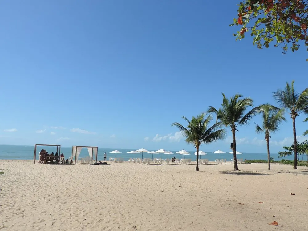 Coqueiros e guarda-sóis na faixa de areia de Taperapuã